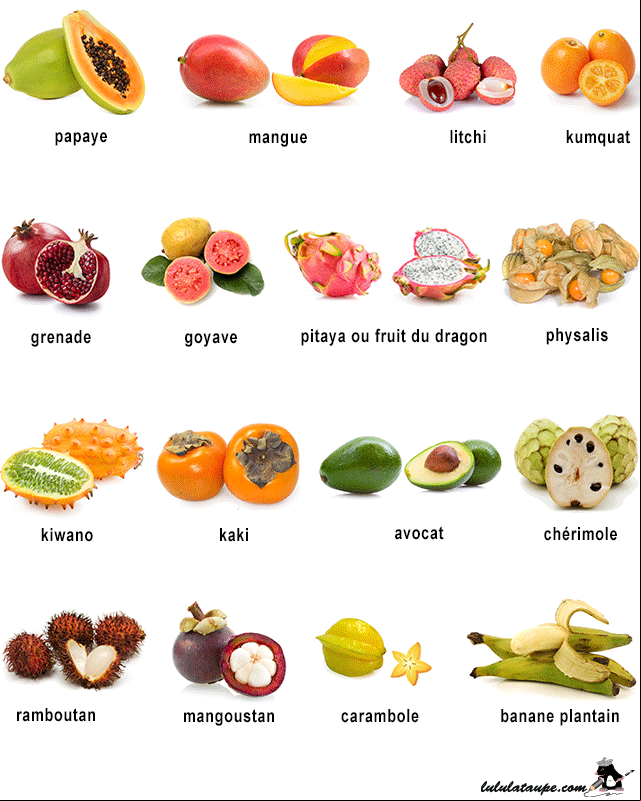Imagier à imprimer, les fruits exotiques