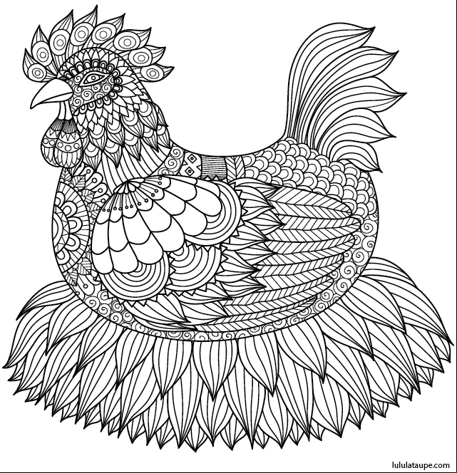 Coloriage abstrait pour adulte, une poule