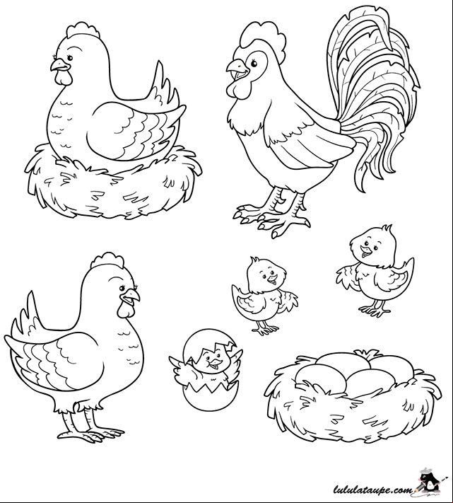 Dessin gratuit à colorier : un coq, une poule, des poussins
