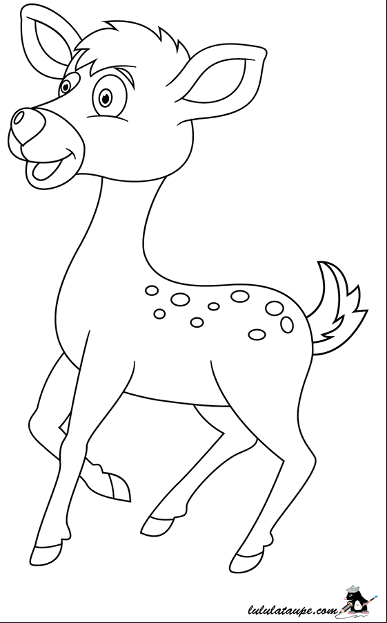 Dessin à colorier, un faon