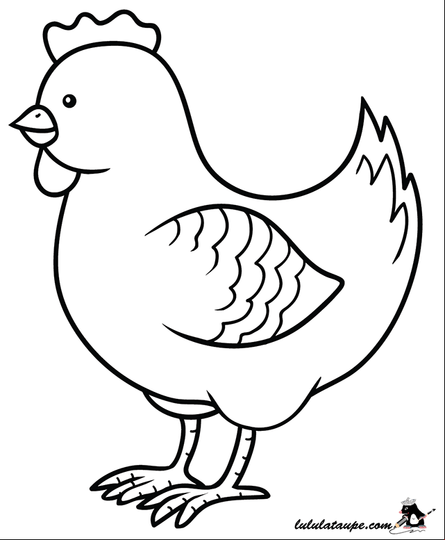 Dessin à colorier, une poule